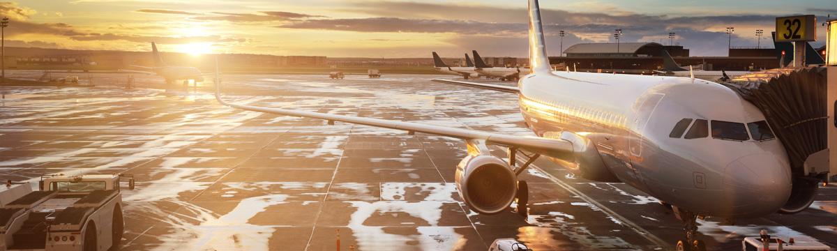 Leon Mobile Application